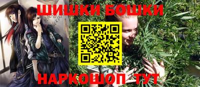 шишки Шахты