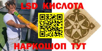 шишки Шахты