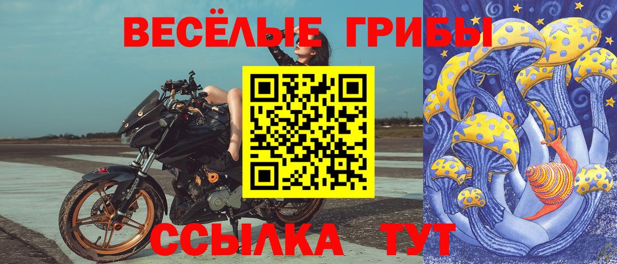 что такое   Псилоцибиновые грибы мицелий  Галлюциногенные грибы MAGIC MUSHROOMS  Вход с VPN  Изобильный 